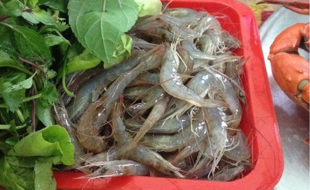 tôm bò hải sản Quảng Ninh 