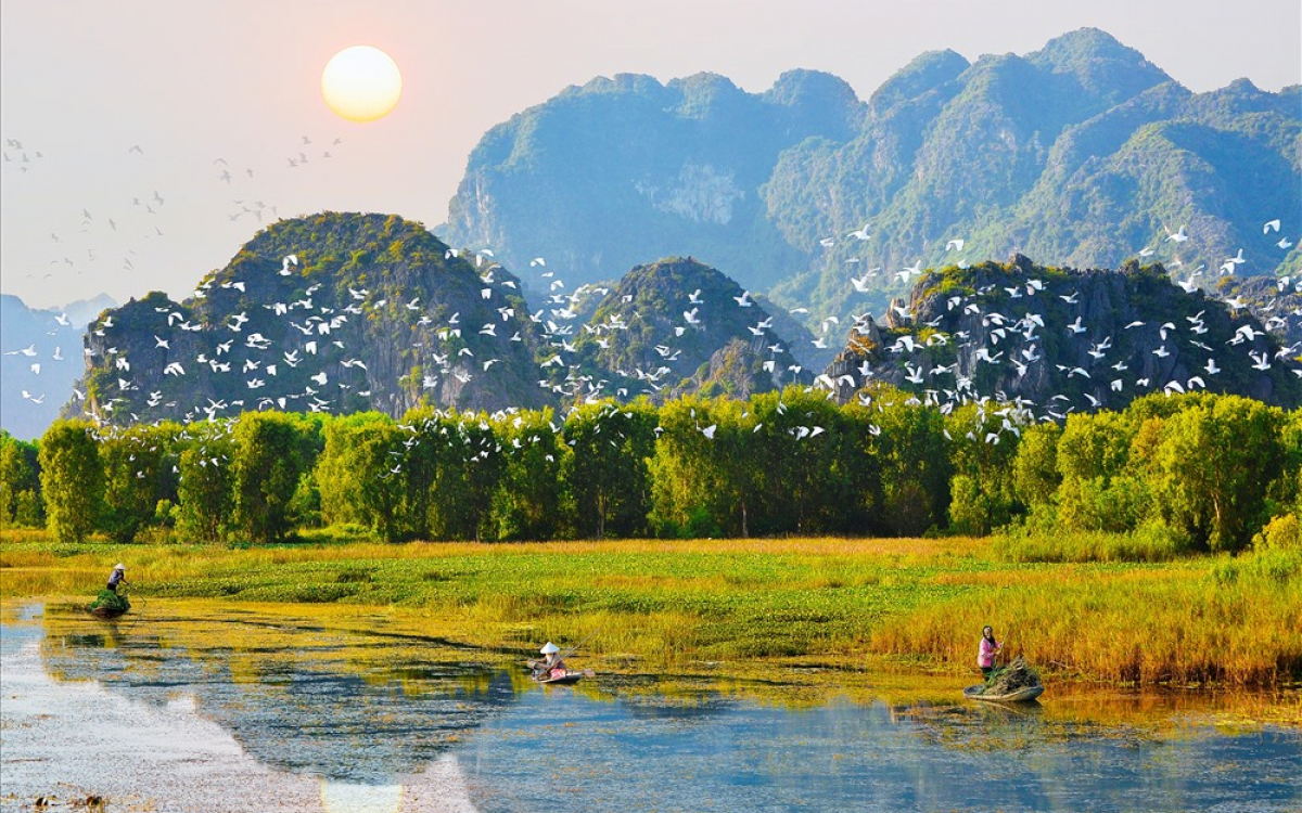 Vườn chim Thung Nham Ninh Bình - Chốn làng quê yên bình - Vivu