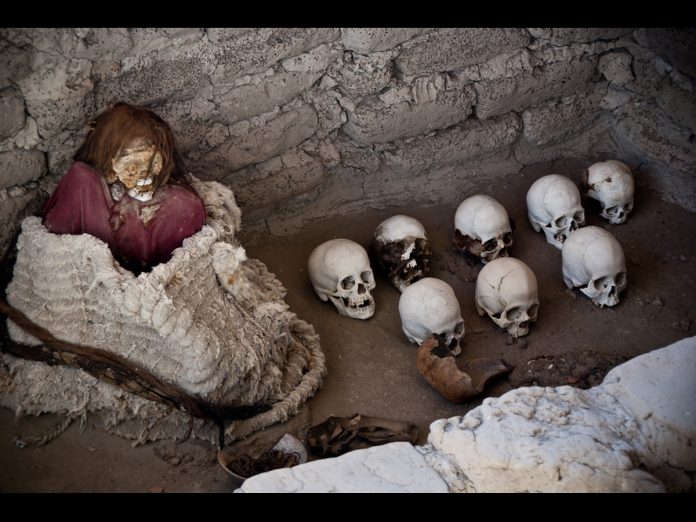 nghia_dia_xac_uop nghia_dia_xac_uop