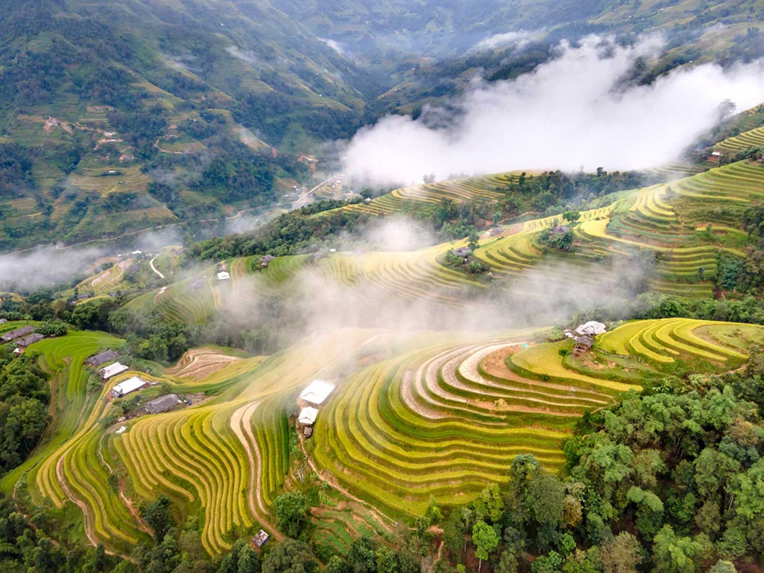 7 địa danh ngắm ruộng bậc thang đẹp nhất Việt Nam - Vivu