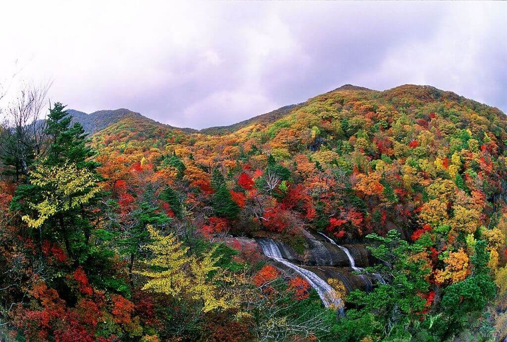 Vườn quốc gia Jirisan du lịch Hàn Quốc