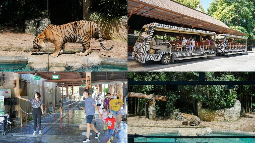 Sở thú Chiang Mai Night Safari