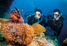 Trải nghiệm đại dương muôn màu với 9 địa điểm lặn biển tuyệt nhất Việt Nam Trải nghiệm đại dương muôn màu với 9 địa điểm lặn biển tuyệt nhất Việt Nam