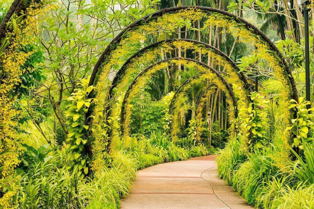 Vườn lan Singapore - địa điểm sống ảo ở Singapore