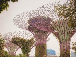 13 địa điểm lãng mạn cho tuần trăng mật ở Singapore trong năm 2023