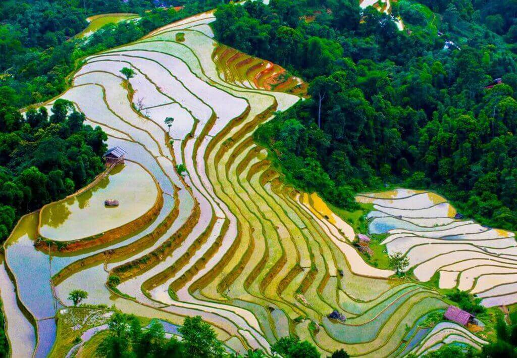 Ruộng bậc thang mùa nước nổi
