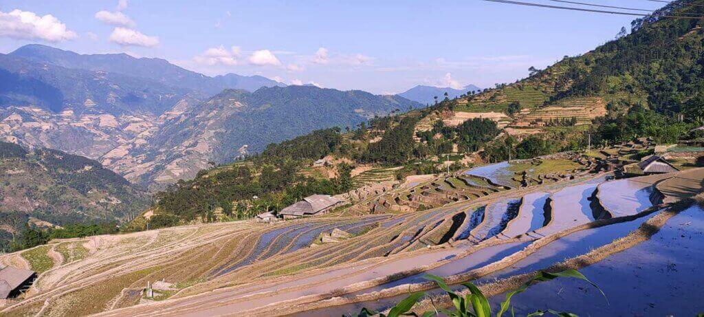 Ruộng bậc thang mùa nước nổi