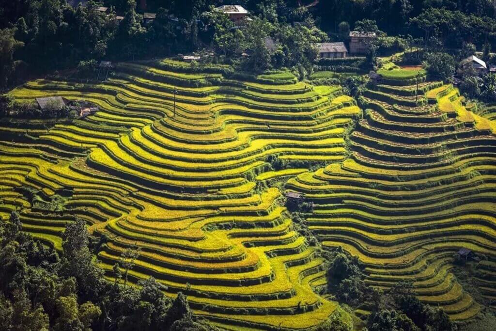 Hình ảnh ruộng bậc thàng đẹp 