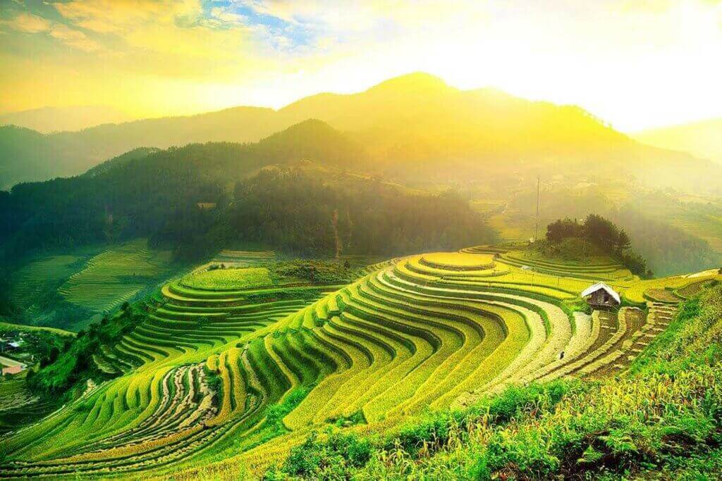 Hình ảnh ruộng bậc thang đẹp 