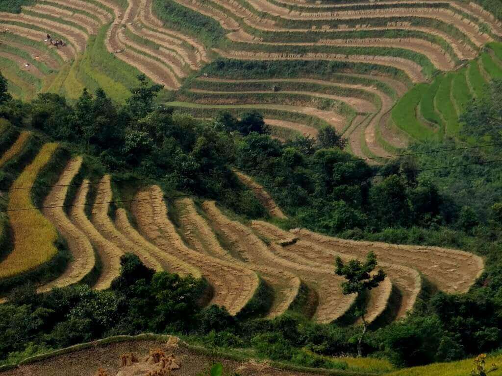 Ruộng bậc thang Yên Minh