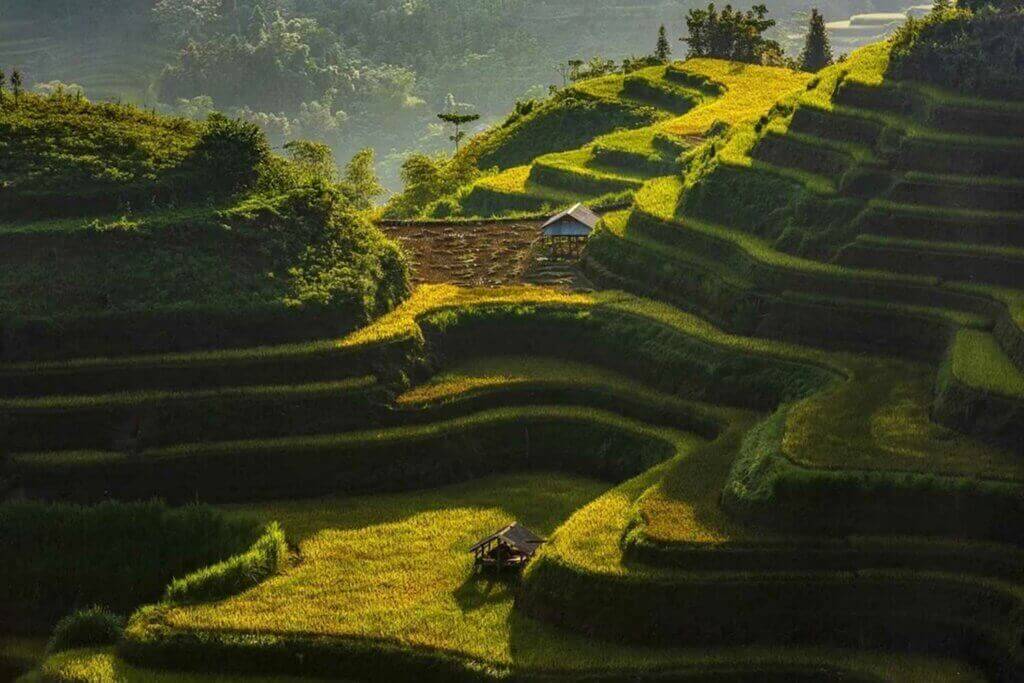 Hình ảnh ruộng bậc thang đẹp 