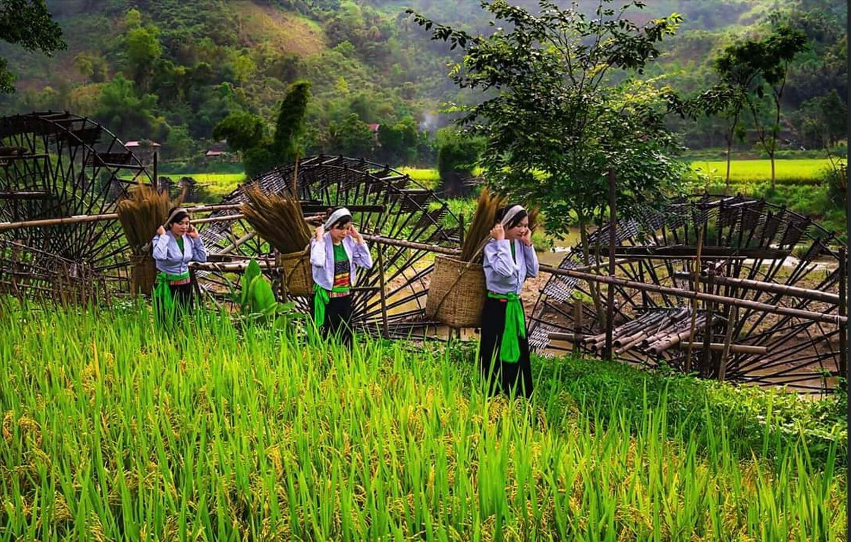 Bản Hắm - điểm du lịch cộng đồng thu hút khách du lịch