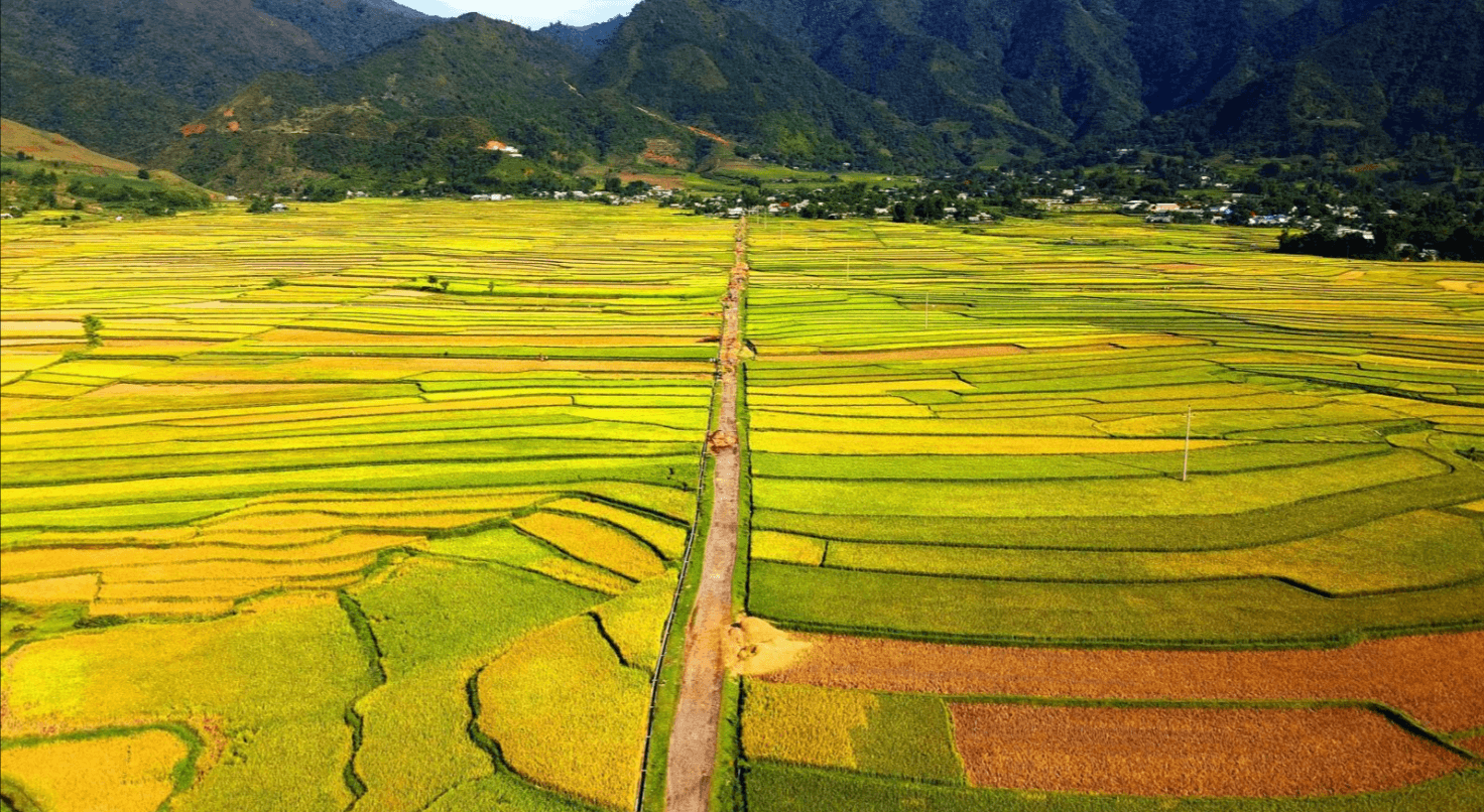 Cánh đồng Mường Than - Một trong 4 bốn cánh đồng trù phú nhất Tây Bắc