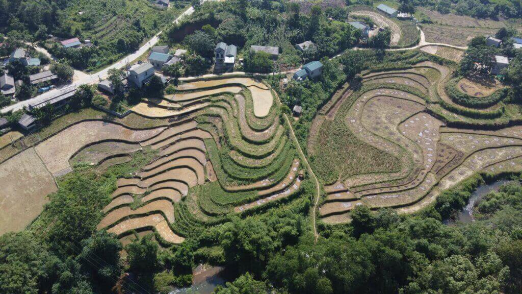 Ruộng bậc thang Quang Bình
