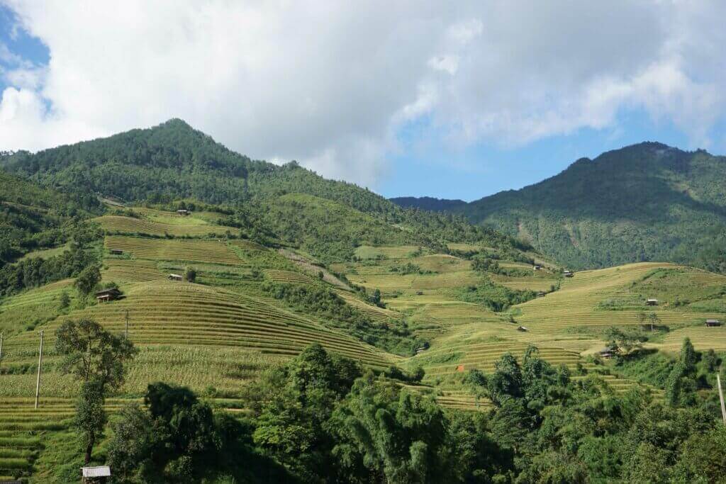 Ruộng bậc thang Mù Cang Chải