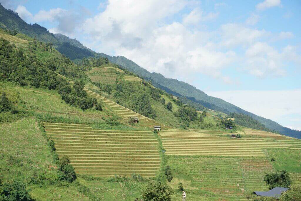Ruộng bậc thang Mù Cang Chải
