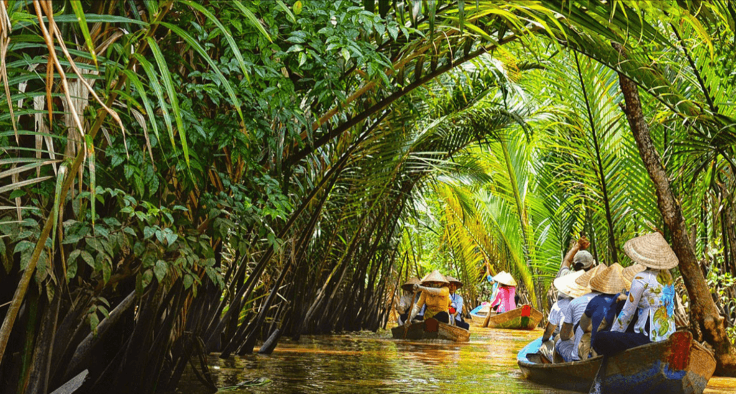 Đi ghe khám phá Cồn Thới Sơn – Trải nghiệm đậm chất miệt vườn miền Tây sông nước