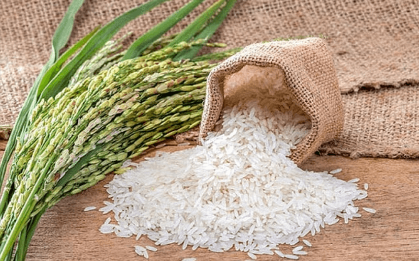 Gạo Điện Biên - Thứ gạo thuốc hạng những gọi ngon nhất Việt Nam