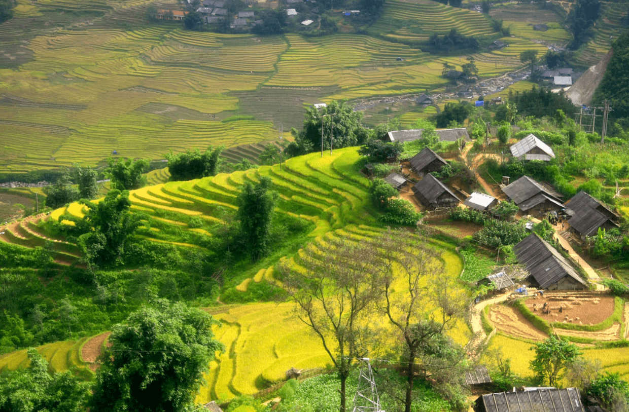 Khám phá Lao Chải - Tả Van