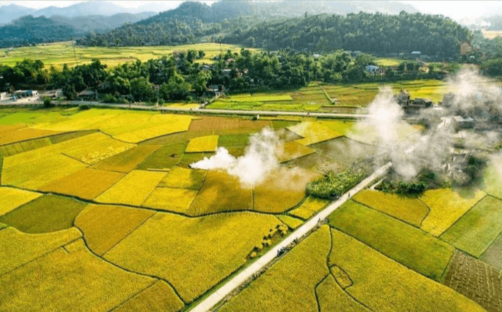 Mường Lò - cánh đồng trù phú lớn thứ 2 của Tây Bắc