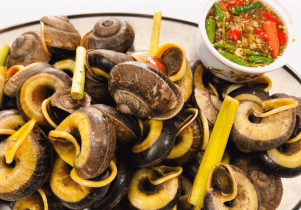 Ốc đá Suối Bàng
