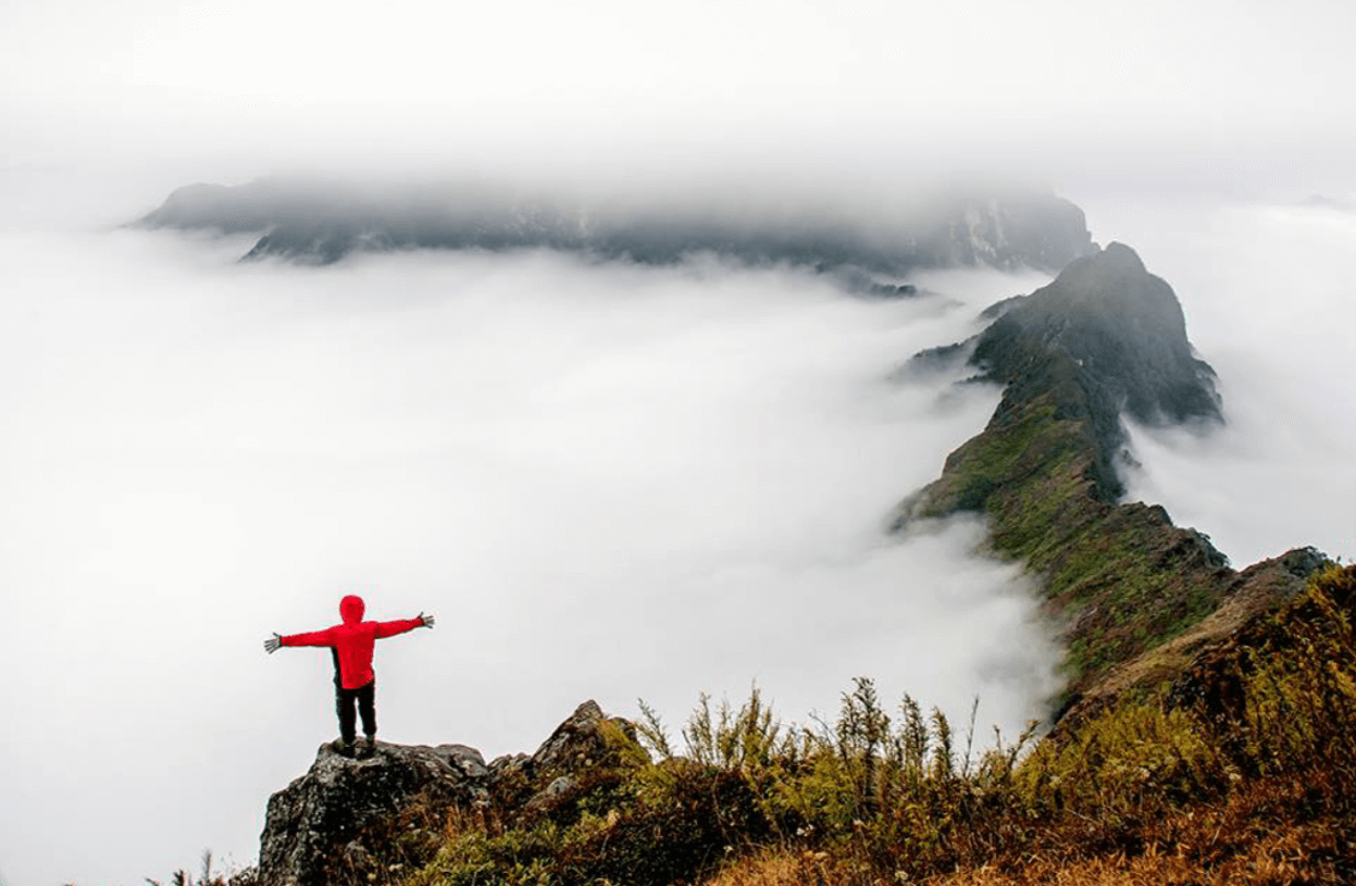 Trekking Tả Liên Sơn sẽ đưa bạn về với khu rừng cổ tích