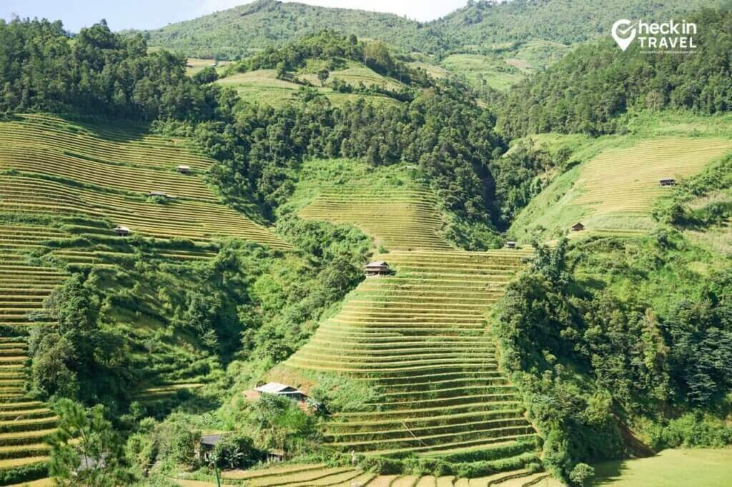 Ruộng bậc thang Mù Cang Chải