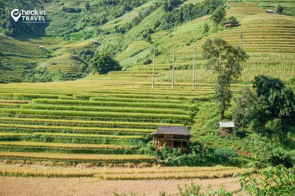 Ruộng bậc thang Mù Cang Chải