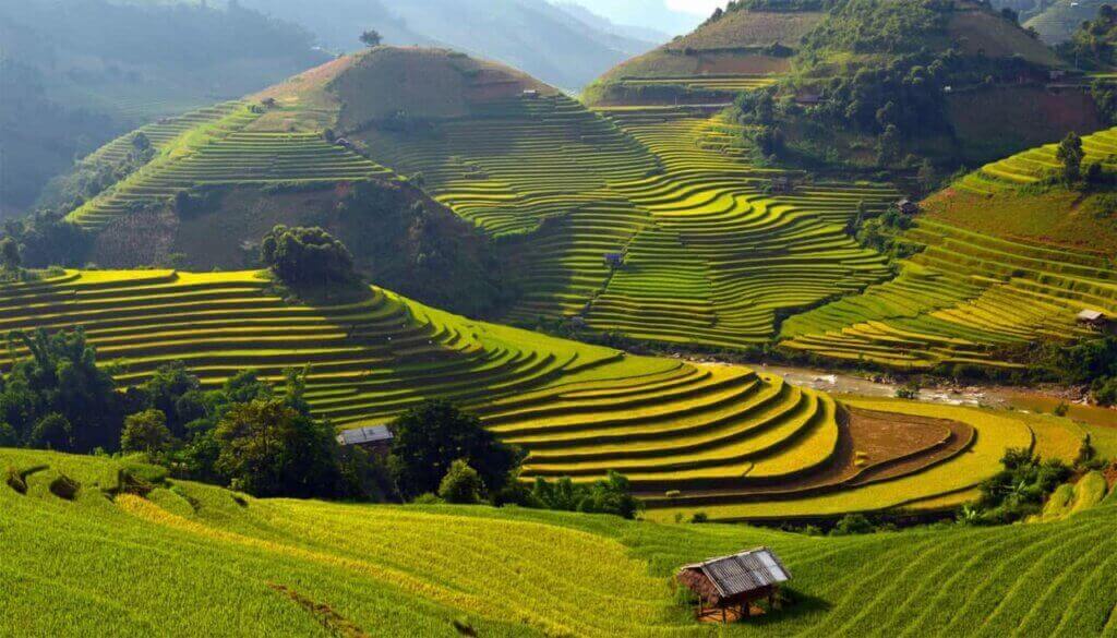 Ruộng bậc thang Mù Cang Chải
