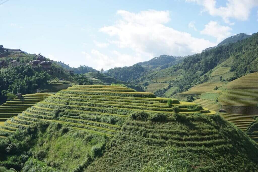 Ruông bậc thang đẹp