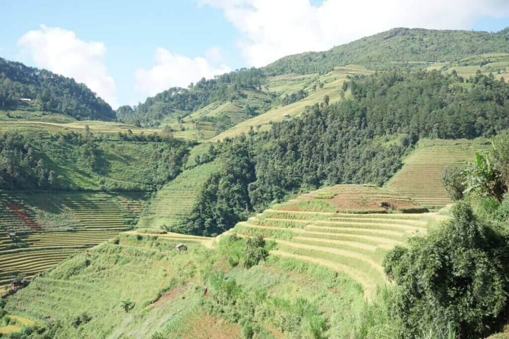 Ruông bậc thang