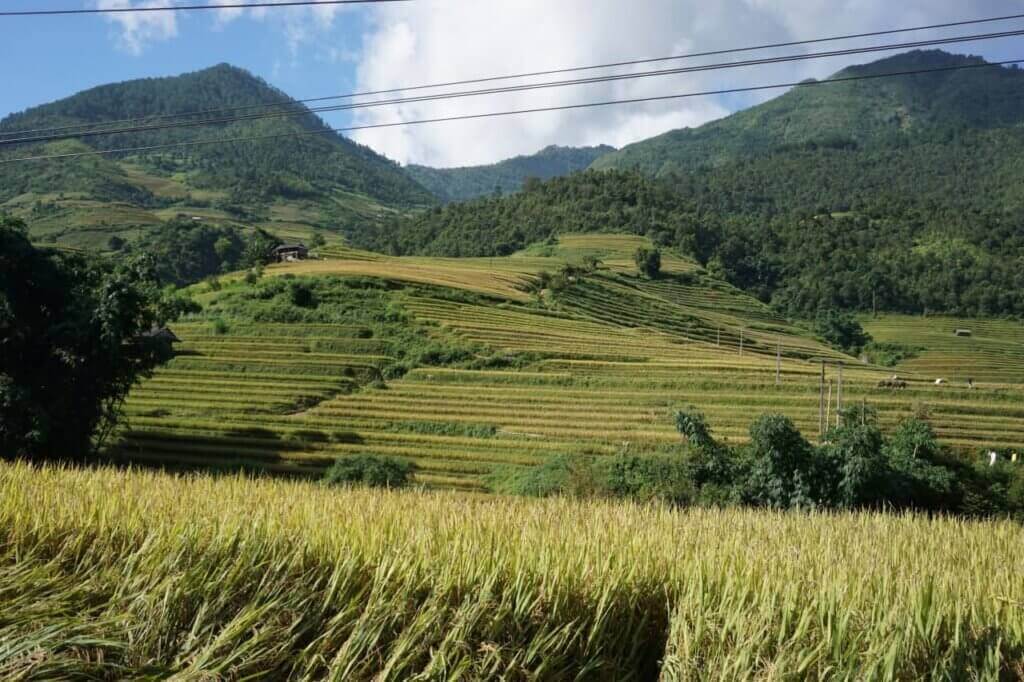 Ruộng bậc thang