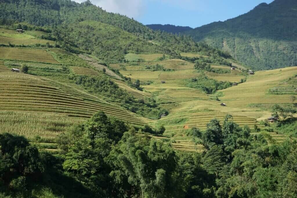 Ruộng bậc thang