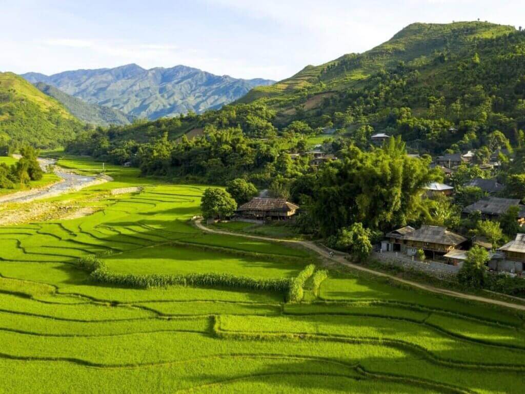 Mù cang chải