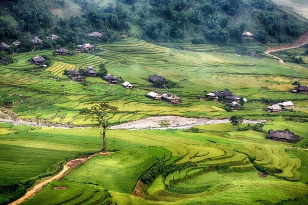 Mù cang chải