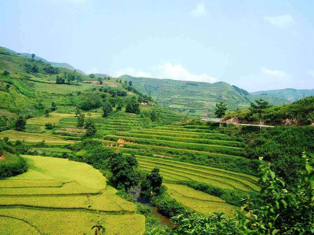 Ruộng bậc thang Yên Minh